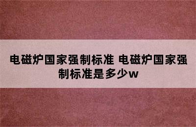 电磁炉国家强制标准 电磁炉国家强制标准是多少w